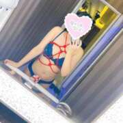 ここ 🏠🌱 フィエスタ