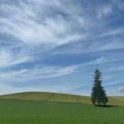 ヒメ日記 2025/10/25 00:42 投稿 雪峰しずく お姉さんCLUB