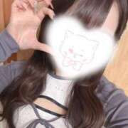 ヒメ日記 2026/02/11 01:22 投稿 藤田えりか 渋谷ガーデン