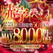 ヒメ日記 2026/02/19 00:42 投稿 藤田えりか 渋谷ガーデン