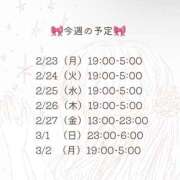 ヒメ日記 2026/02/24 04:42 投稿 藤田えりか 渋谷ガーデン