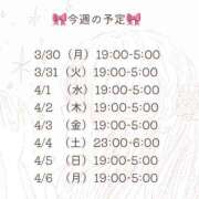 ヒメ日記 2026/03/30 22:22 投稿 藤田えりか 渋谷ガーデン