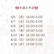 ヒメ日記 2026/04/07 03:02 投稿 藤田えりか 渋谷ガーデン