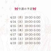 ヒメ日記 2026/04/13 04:02 投稿 藤田えりか 渋谷ガーデン