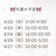 ヒメ日記 2026/04/24 00:03 投稿 藤田えりか 渋谷ガーデン