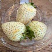 ヒメ日記 2026/03/13 21:49 投稿 麻生もも 断りきれない美人マッサージ嬢たち