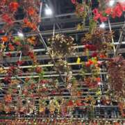 かぐや おはようございます☀️ ダイスキ