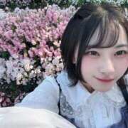 ヒメ日記 2026/04/21 08:06 投稿 かぐや ダイスキ