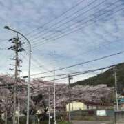 ヒメ日記 2026/05/06 14:20 投稿 かぐや ダイスキ