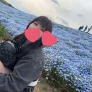 ヒメ日記 2025/11/15 12:01 投稿 みこ 無敵YOKOHAMA