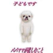 ヒメ日記 2025/12/14 11:31 投稿 みこ 無敵YOKOHAMA