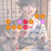 ヒメ日記 2025/12/31 12:01 投稿 みこ 無敵YOKOHAMA