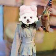 ヒメ日記 2026/02/20 09:36 投稿 みこ 無敵YOKOHAMA