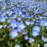 ヒメ日記 2026/02/25 23:51 投稿 みこ 無敵YOKOHAMA