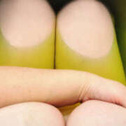 ヒメ日記 2025/11/11 19:16 投稿 みく ぽっちゃり熟女 ～バカラ～