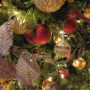 みく ツリー ぽっちゃり熟女 ～バカラ～