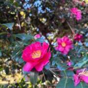 ヒメ日記 2026/03/14 16:56 投稿 うみ 京都の痴女鉄道