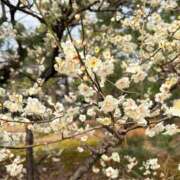 ヒメ日記 2026/03/15 09:06 投稿 うみ 京都の痴女鉄道