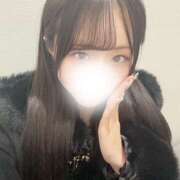 ヒメ日記 2025/12/10 23:20 投稿 セリナ 姫路ラビット