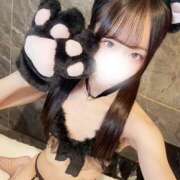 ヒメ日記 2025/12/13 14:02 投稿 セリナ 姫路ラビット