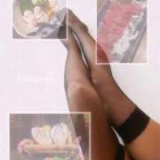 ヒメ日記 2026/01/14 15:36 投稿 神山(かみやま) 人妻出逢い会 百合の園 新宿店