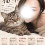 ヒメ日記 2026/09/14 12:10 投稿 まお 人妻熟女奉仕倶楽部
