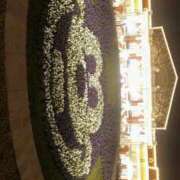 ヒメ日記 2026/01/06 00:14 投稿 紗倉せれん 手コキ研修塾