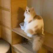 ヒメ日記 2026/03/16 00:34 投稿 紗倉せれん 手コキ研修塾