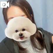 ヒメ日記 2025/12/12 20:00 投稿 りりな 奥様特急新潟店