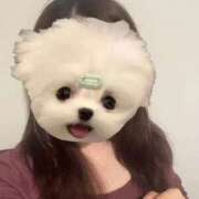 ヒメ日記 2025/12/20 12:37 投稿 りりな 奥様特急新潟店