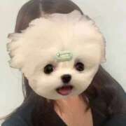 ヒメ日記 2026/01/08 11:14 投稿 りりな 奥様特急新潟店