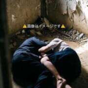 ヒメ日記 2026/05/25 10:12 投稿 りりな 奥様特急新潟店