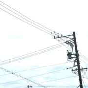 ヒメ日記 2025/10/26 06:59 投稿 こゆき 浜松駅前ちゃんこ