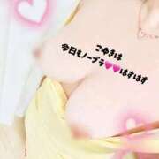 ヒメ日記 2025/10/29 14:00 投稿 こゆき 浜松駅前ちゃんこ