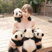 ヒメ日記 2025/10/29 19:02 投稿 こゆき 浜松駅前ちゃんこ