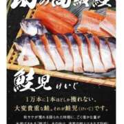 ヒメ日記 2025/10/30 13:19 投稿 こゆき 浜松駅前ちゃんこ