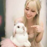 ヒメ日記 2025/10/30 16:59 投稿 こゆき 浜松駅前ちゃんこ