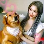 ヒメ日記 2025/11/01 00:49 投稿 こゆき 浜松駅前ちゃんこ