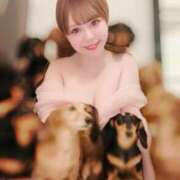 ヒメ日記 2025/11/24 02:49 投稿 こゆき 浜松駅前ちゃんこ