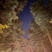 ヒメ日記 2025/11/25 01:00 投稿 こゆき 浜松駅前ちゃんこ