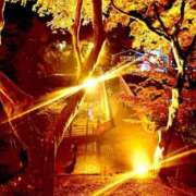 ヒメ日記 2025/11/28 00:59 投稿 こゆき 浜松駅前ちゃんこ