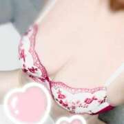 ヒメ日記 2025/12/10 16:59 投稿 こゆき 浜松駅前ちゃんこ