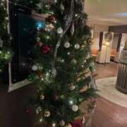 ヒメ日記 2025/12/16 09:15 投稿 こゆき 浜松駅前ちゃんこ