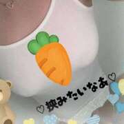 ヒメ日記 2025/12/17 08:09 投稿 こゆき 浜松駅前ちゃんこ