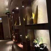 ヒメ日記 2025/12/29 23:09 投稿 こゆき 浜松駅前ちゃんこ