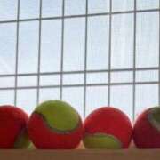 ヒメ日記 2025/12/31 10:50 投稿 こゆき 浜松駅前ちゃんこ