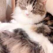 ヒメ日記 2026/01/04 01:34 投稿 こゆき 浜松駅前ちゃんこ