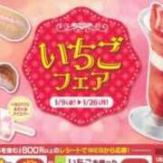 ヒメ日記 2026/01/11 08:00 投稿 こゆき 浜松駅前ちゃんこ