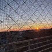 ヒメ日記 2026/02/03 07:12 投稿 こゆき 浜松駅前ちゃんこ