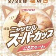 ヒメ日記 2026/02/22 16:49 投稿 こゆき 浜松駅前ちゃんこ